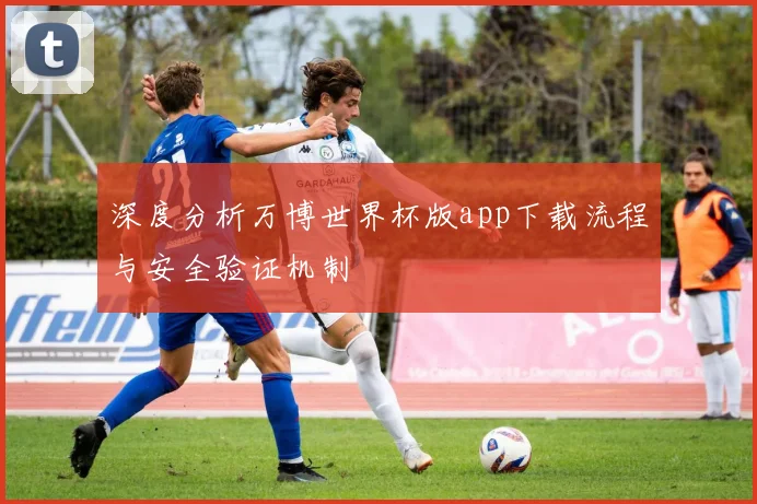 深度分析万博世界杯版app下载流程与安全验证机制