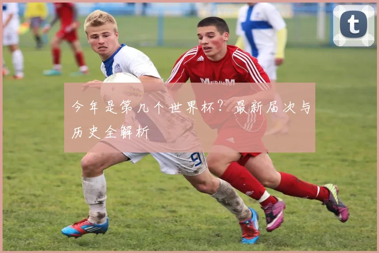 今年是第几个世界杯？最新届次与历史全解析