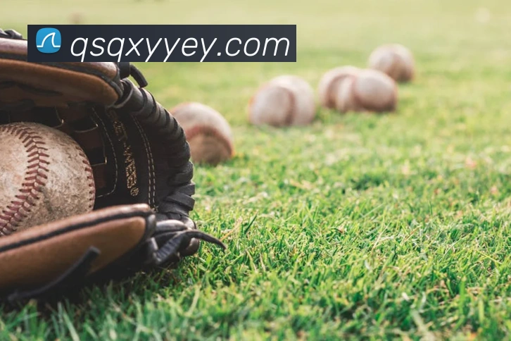 9游会官网入口APP 封面图